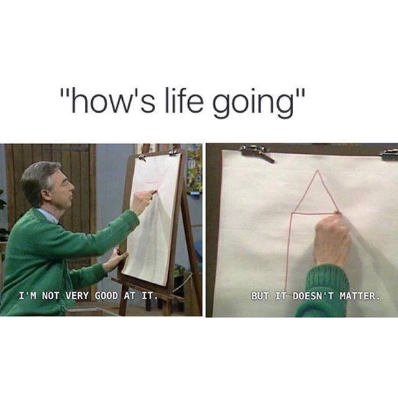 Meet your Posher, Riley - Picture 2 of 7